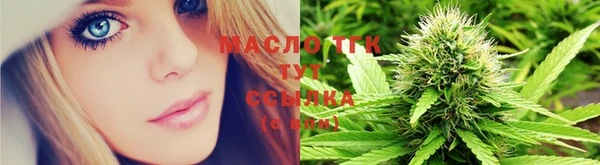 дмт Алексин