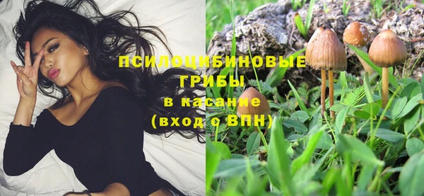 СК Алзамай