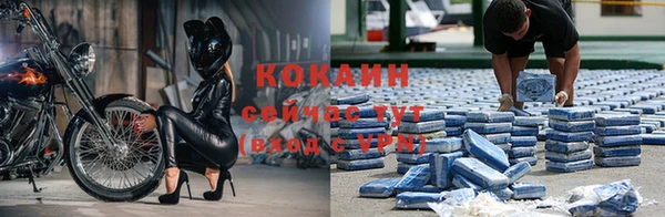 трава Магас